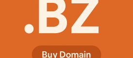 خرید دامنه .bz
